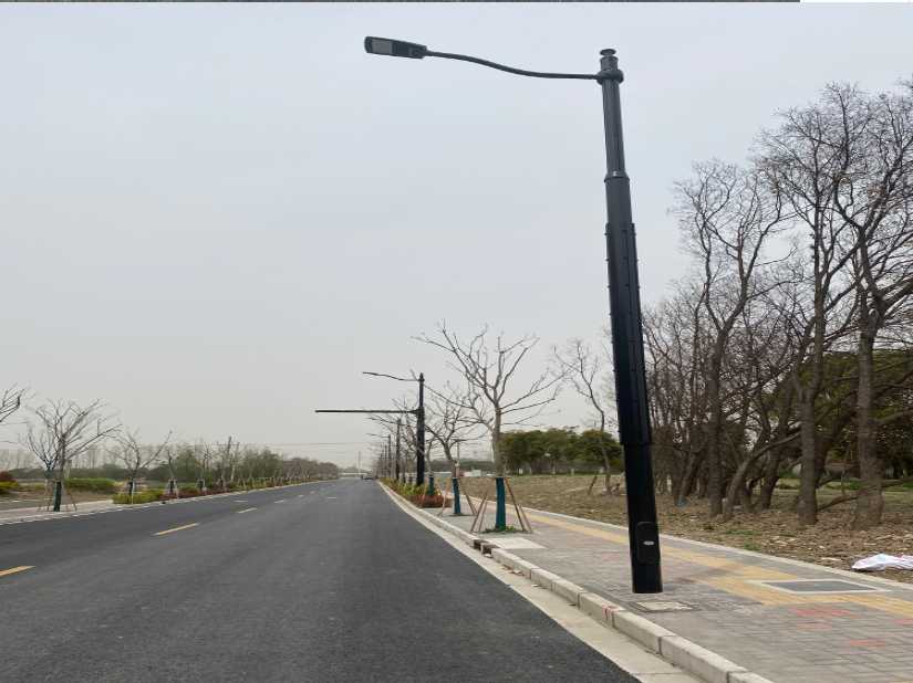 嫩江市上海综合杆 太阳能路灯工程